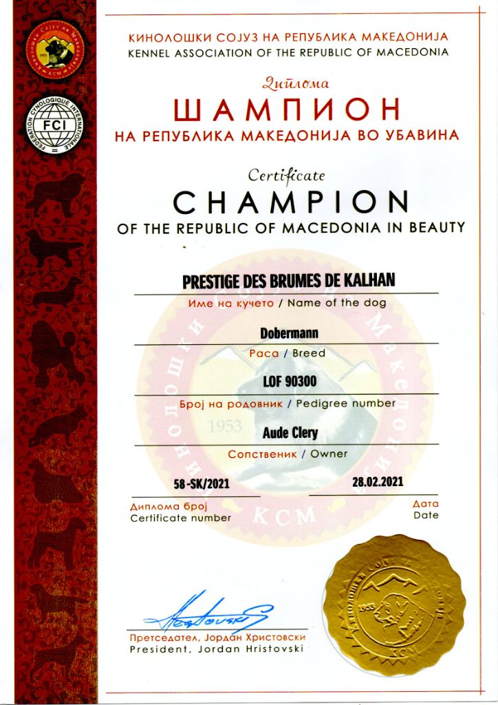 Des Brumes De Kalhan - Prestige, Championne de la République de Macédoine !