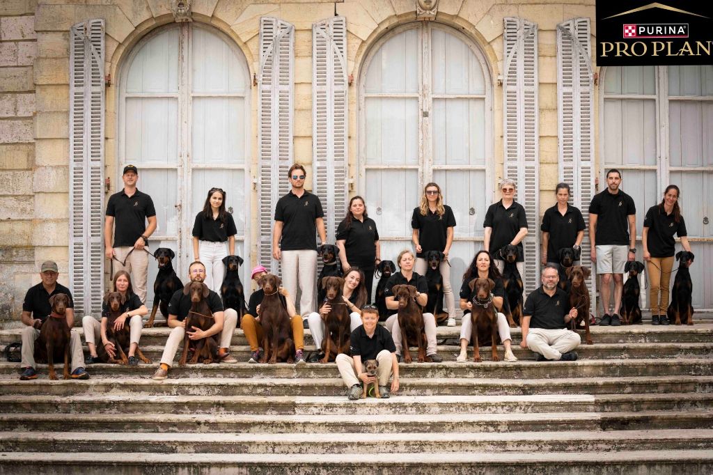 Des Brumes De Kalhan - MEILLEUR ELEVAGE DE FRANCE 2025